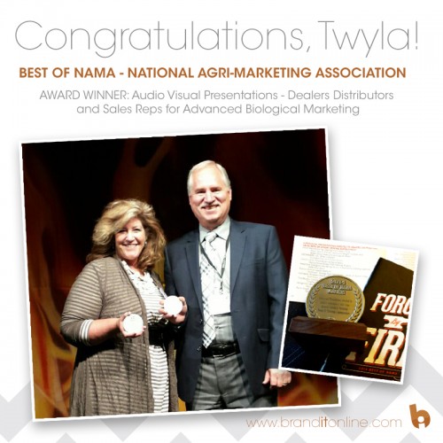 Brand It Marketing Wins National BEST OF NAMA Award